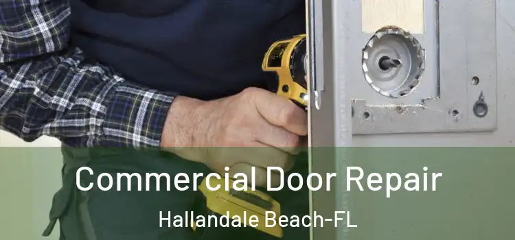  Commercial Door Repair Hallandale Beach-FL