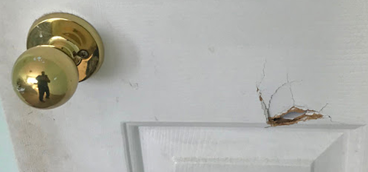 interior door hole repair Hallandale Beach