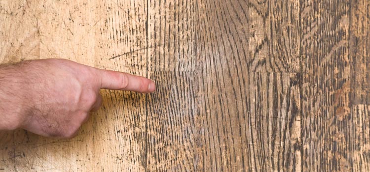 Wood Door Scratch Repair in Hallandale Beach