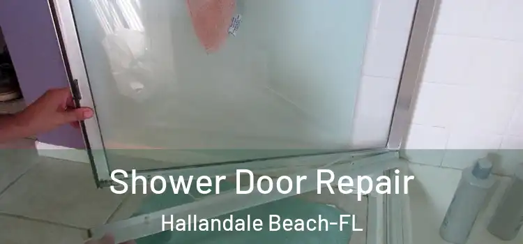  Shower Door Repair Hallandale Beach-FL